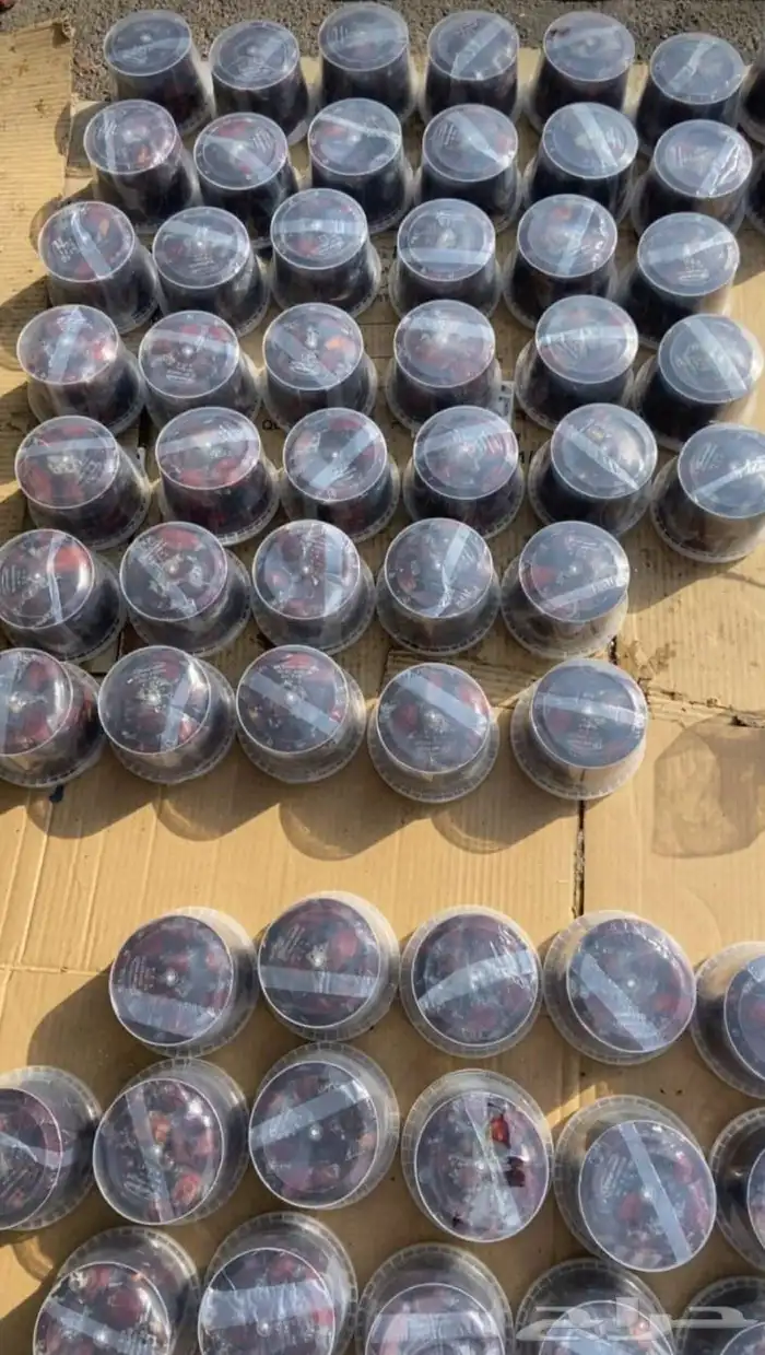 تمور حائل الفاخره 9