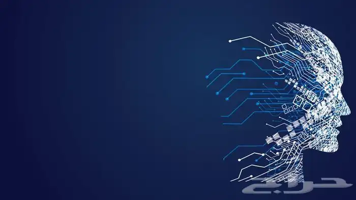 تصميم مواقع 0