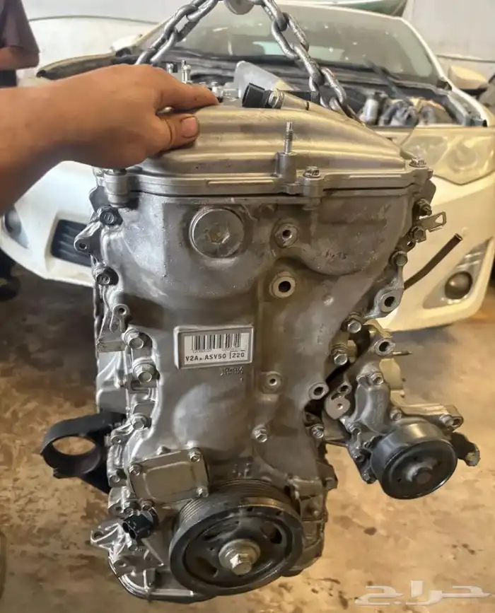 يوجد مكاين مخره ولكزز وشاص وربع وهايلكس وكامرى واسعار 1