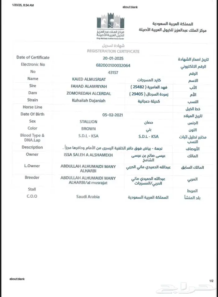 حصان واهو شيخ 2