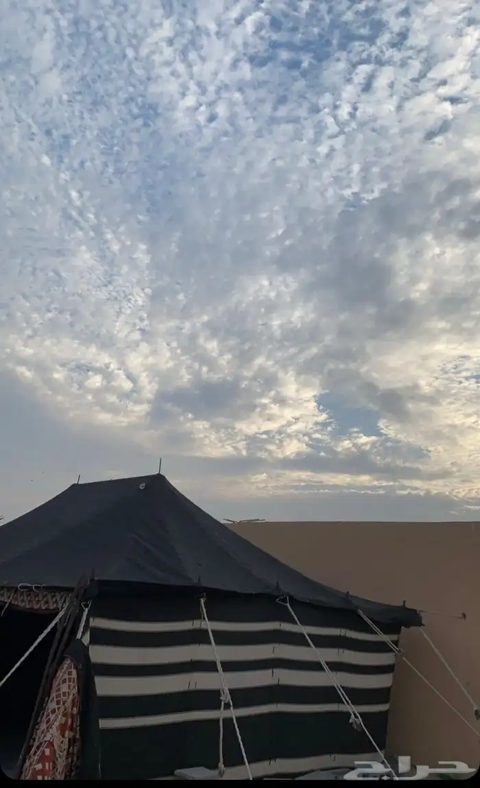 بيت شعر نظيف لبيع 0
