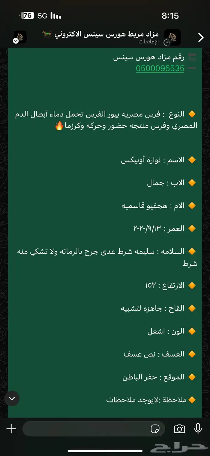 فرس واهو مصريه سليمه شرط 2