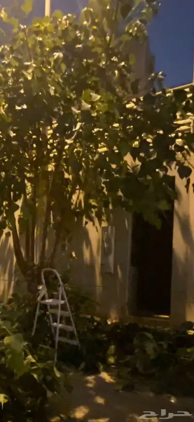 غرفة سائق للإيجار 0