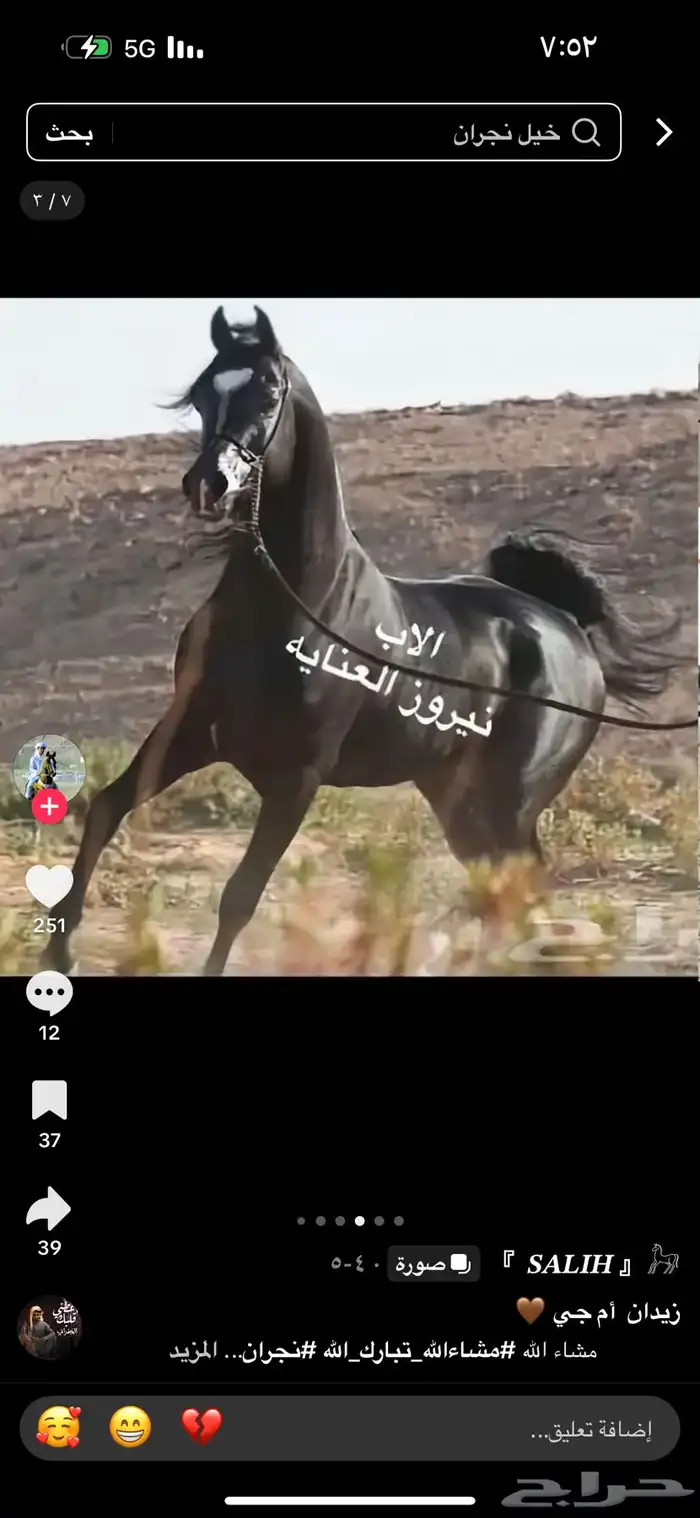 فحل مربط واهو ابن الادهم نيروز العنايه 1