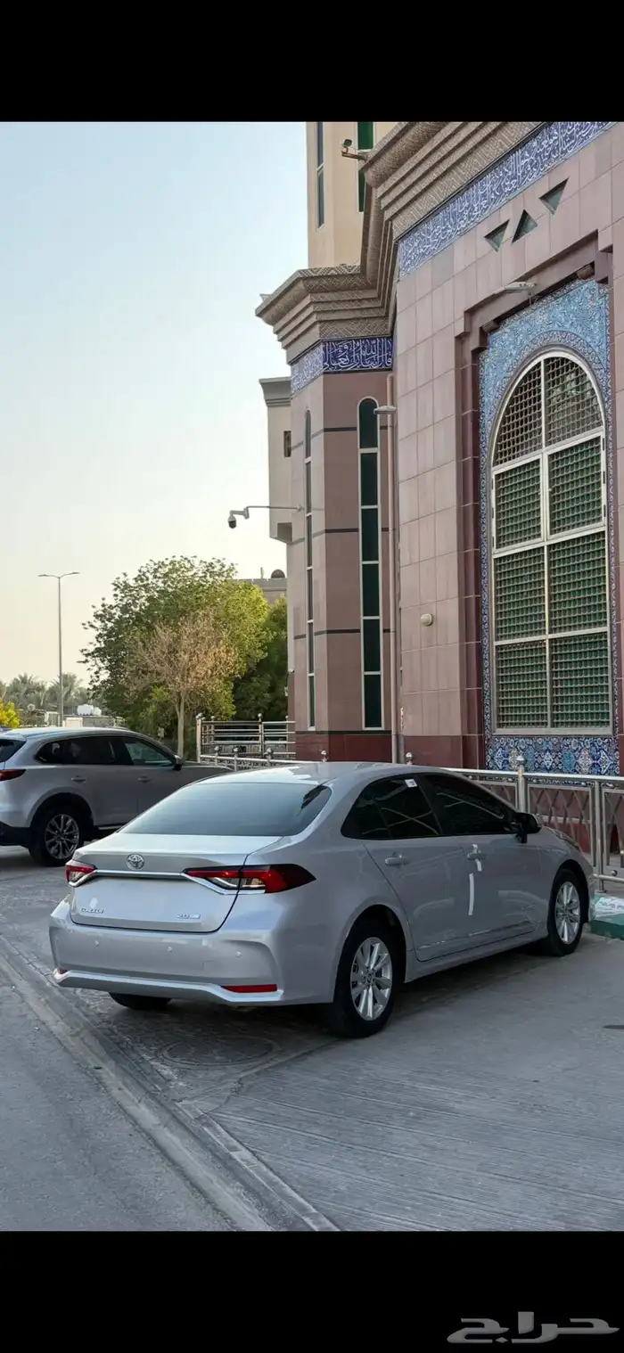 بيع جنوط الوكاله 0