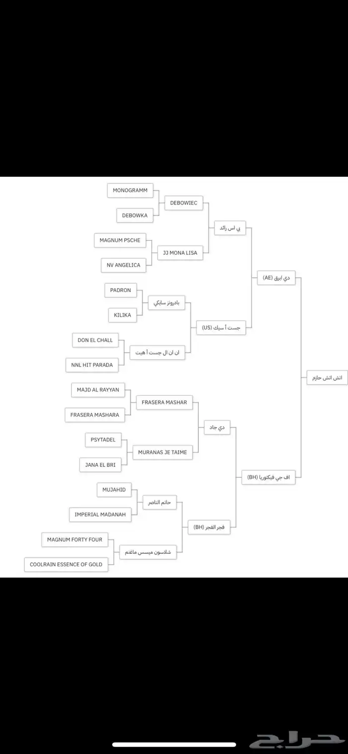 حصان واهو صغير سن ومقنى 0