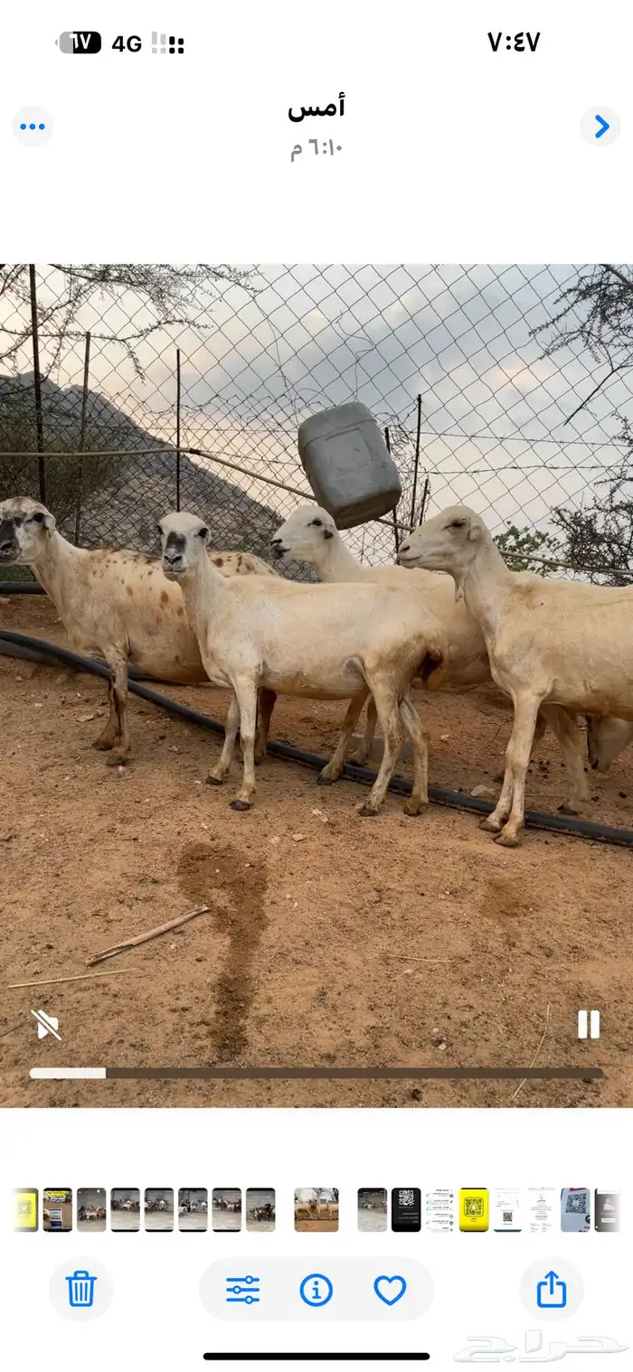 ثلوث المنظر 2