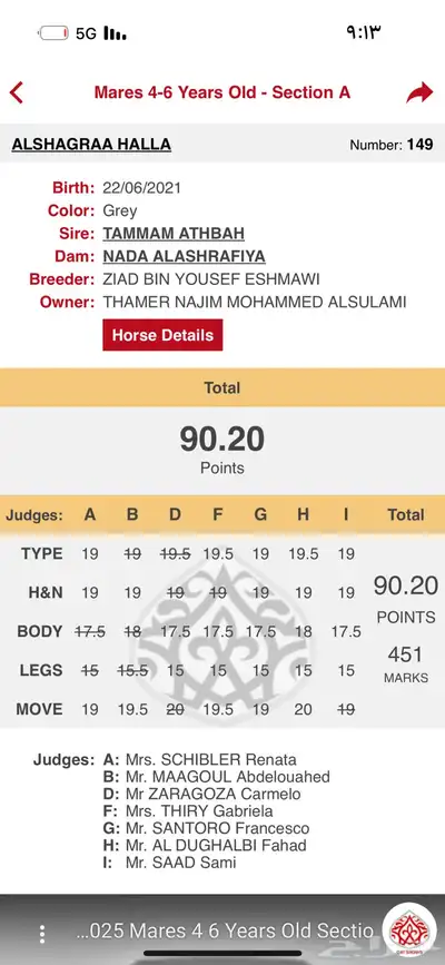 فرس مكس جمال لقاح ثقيل تم البيع index