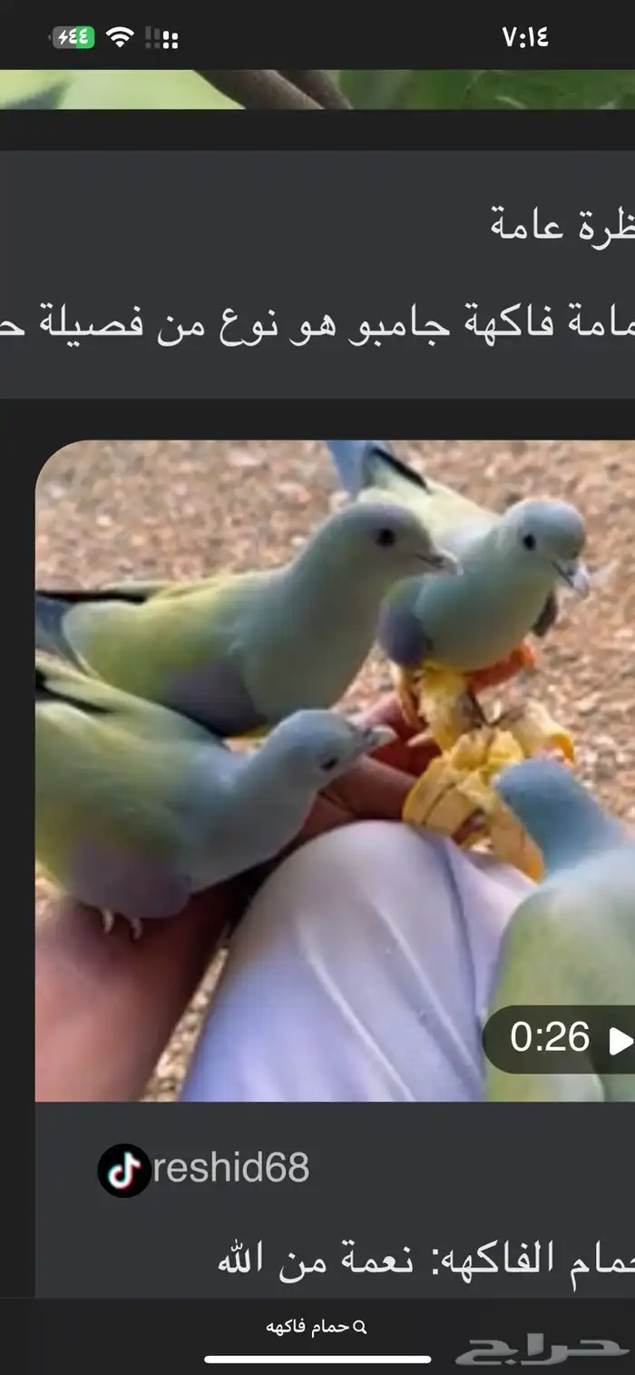 مطلوب حمام الفاكهه 0