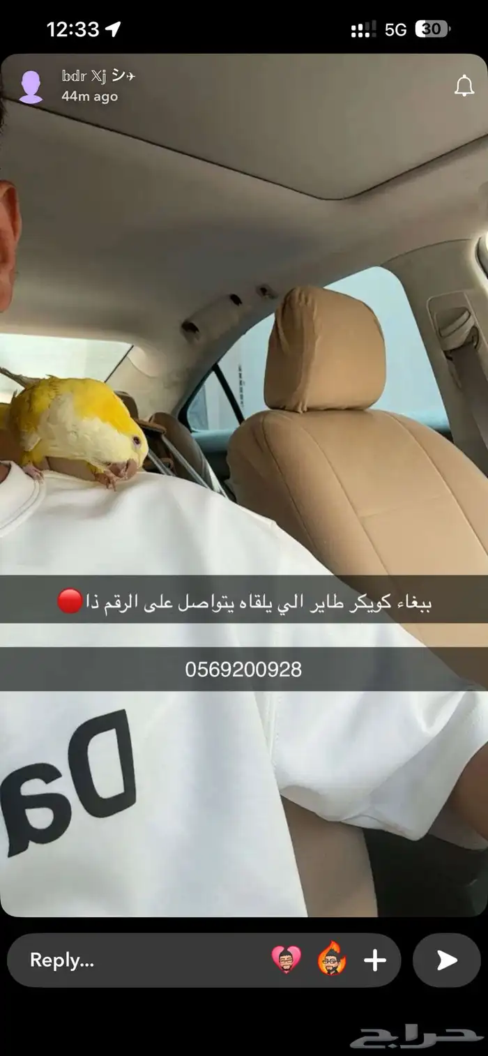 مفقود كويكر بالبكيرية 0