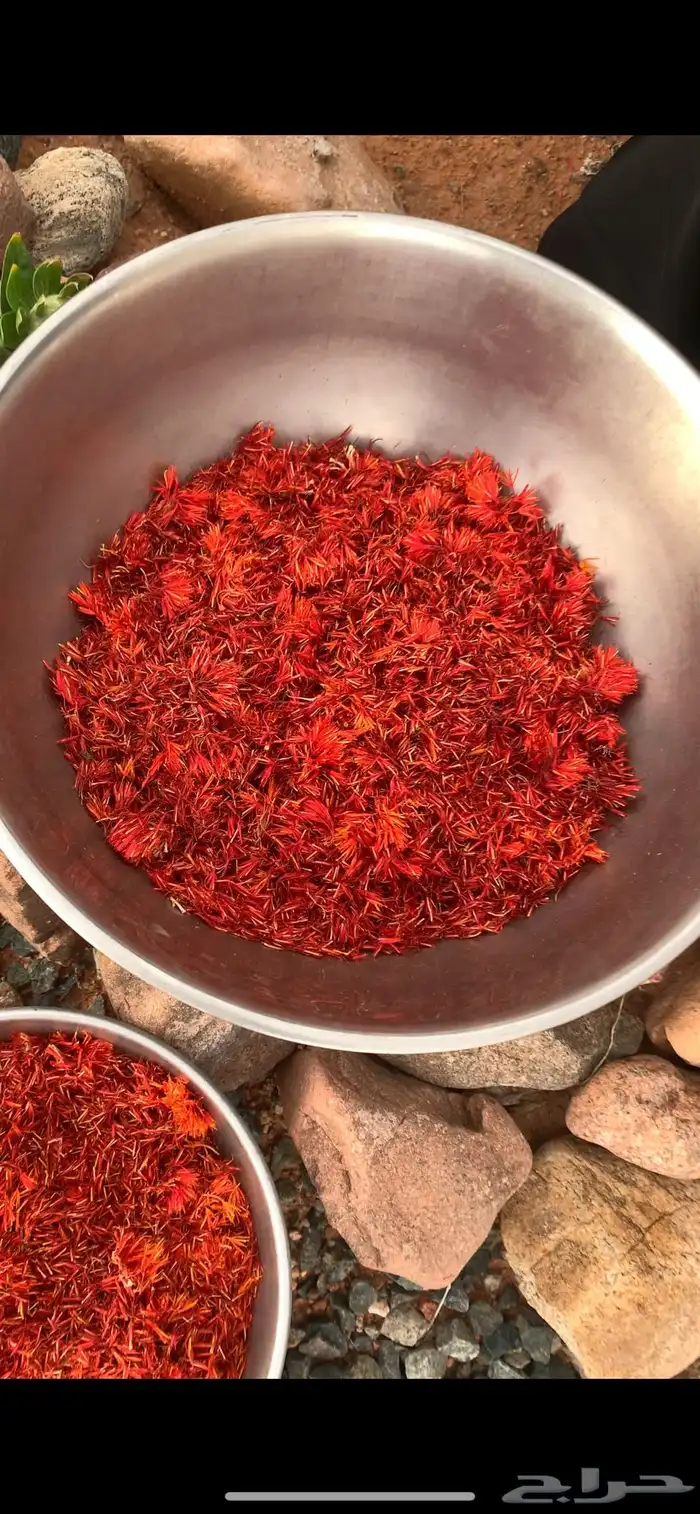 بذور ربيعيه وازهار 5