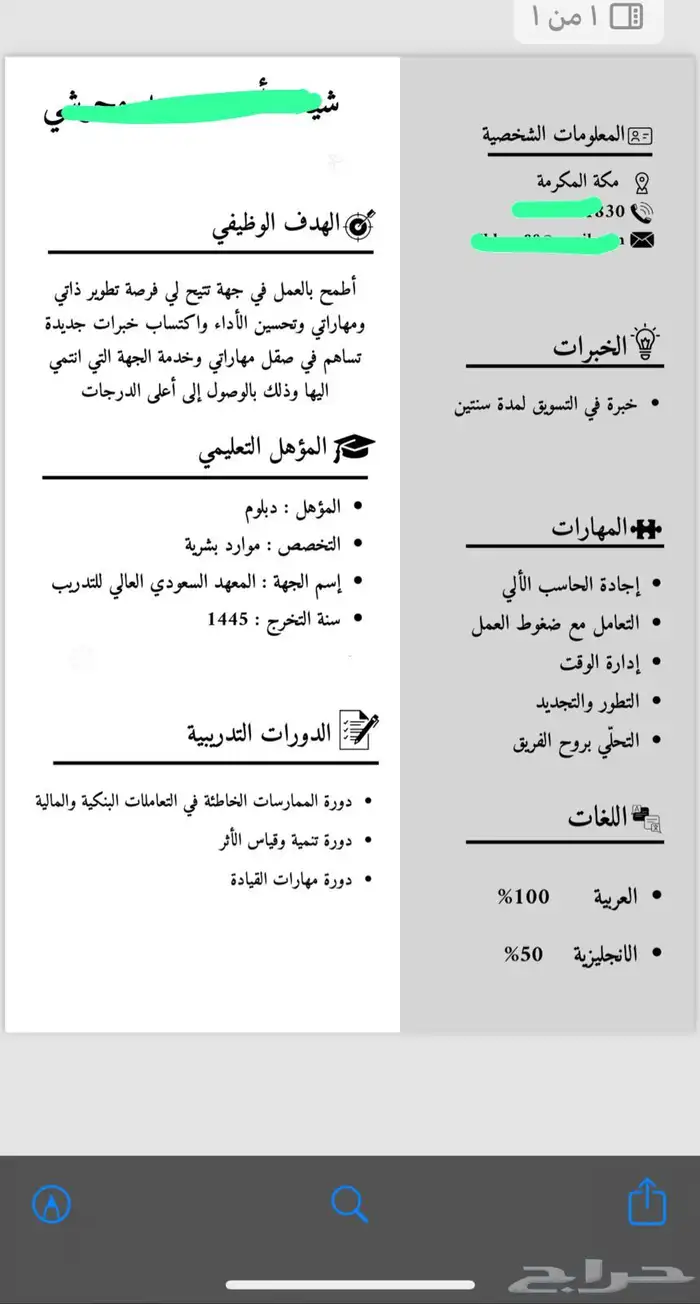 سيرة ذاتية احترافية 15