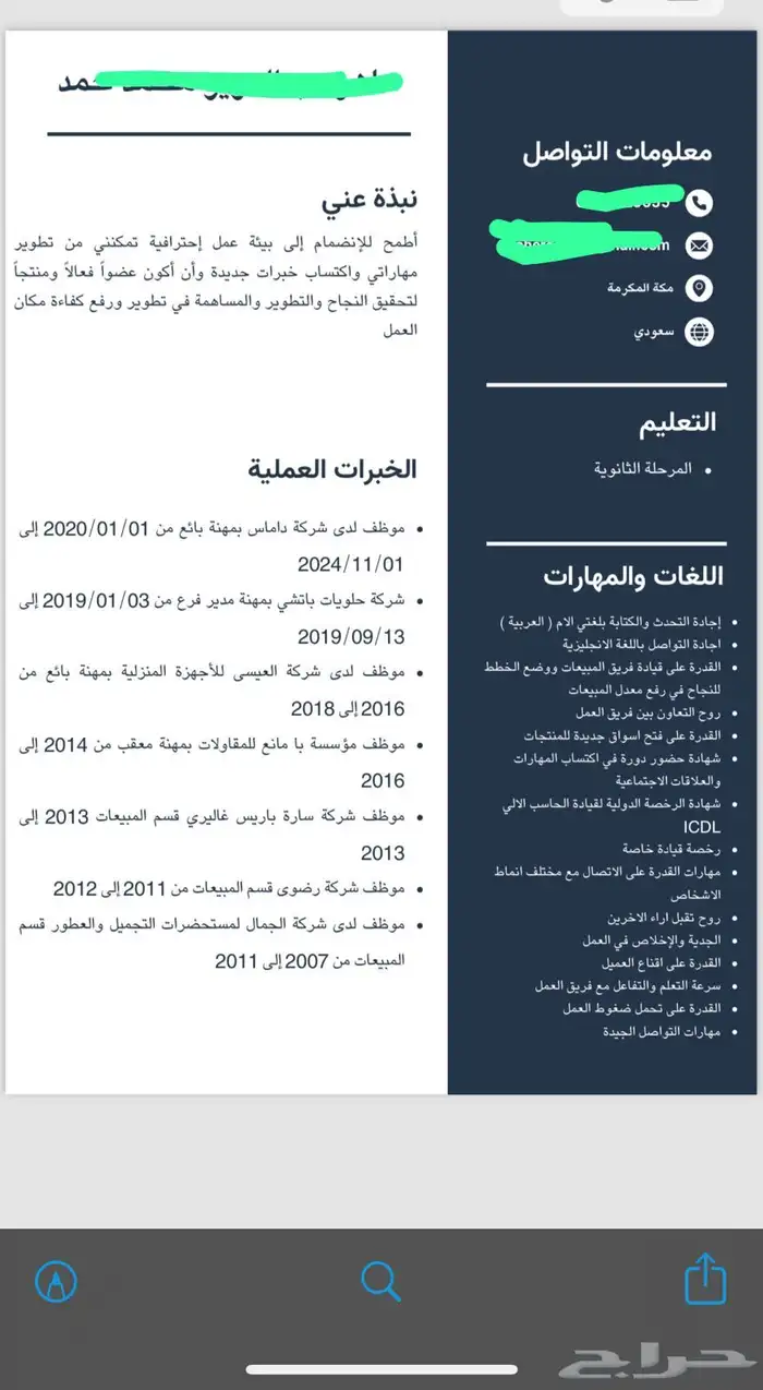 سيرة ذاتية احترافية 5