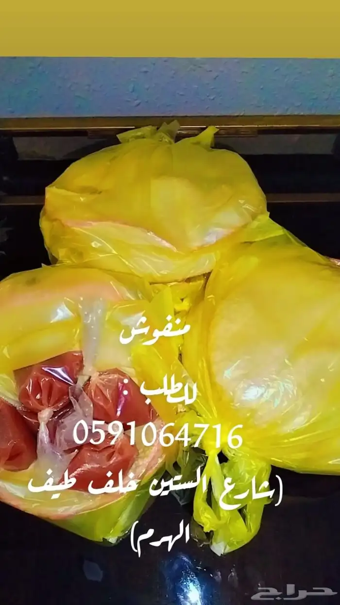 منفوش ب1 0