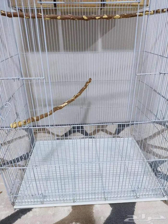 قفص طيور 2