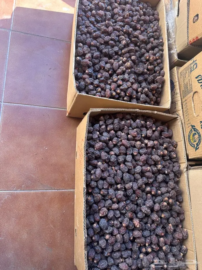 كرتونين 40 كيلو تمر رزيز مفروز حبه سوده وحجم حلو مرتب 0