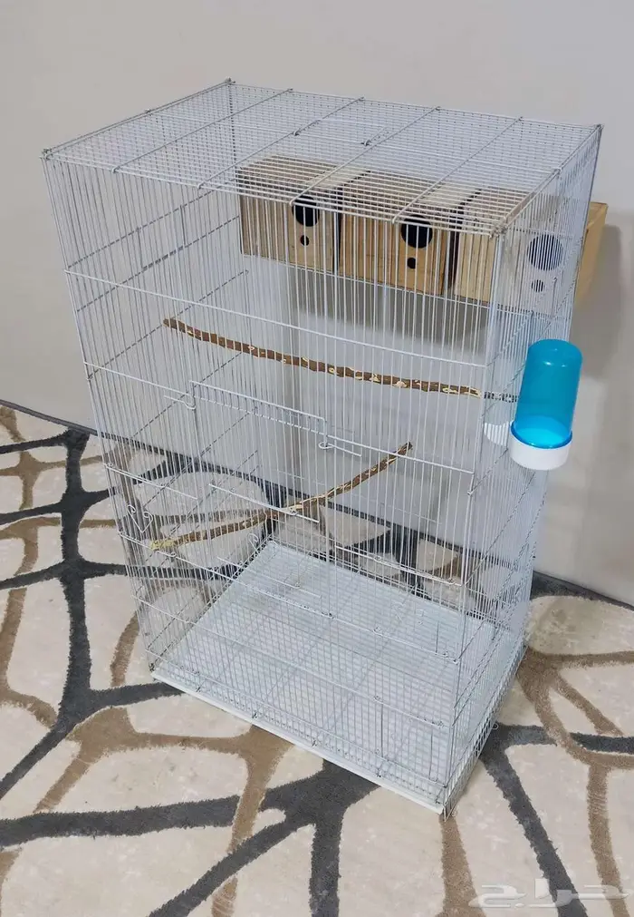 قفص طيور 1