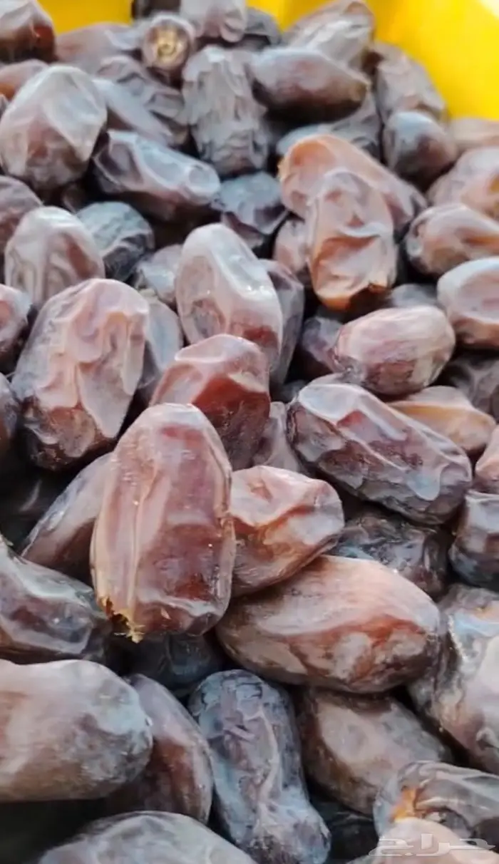 خضري الزلفي طيب ونضيف وحبه كبيره 2