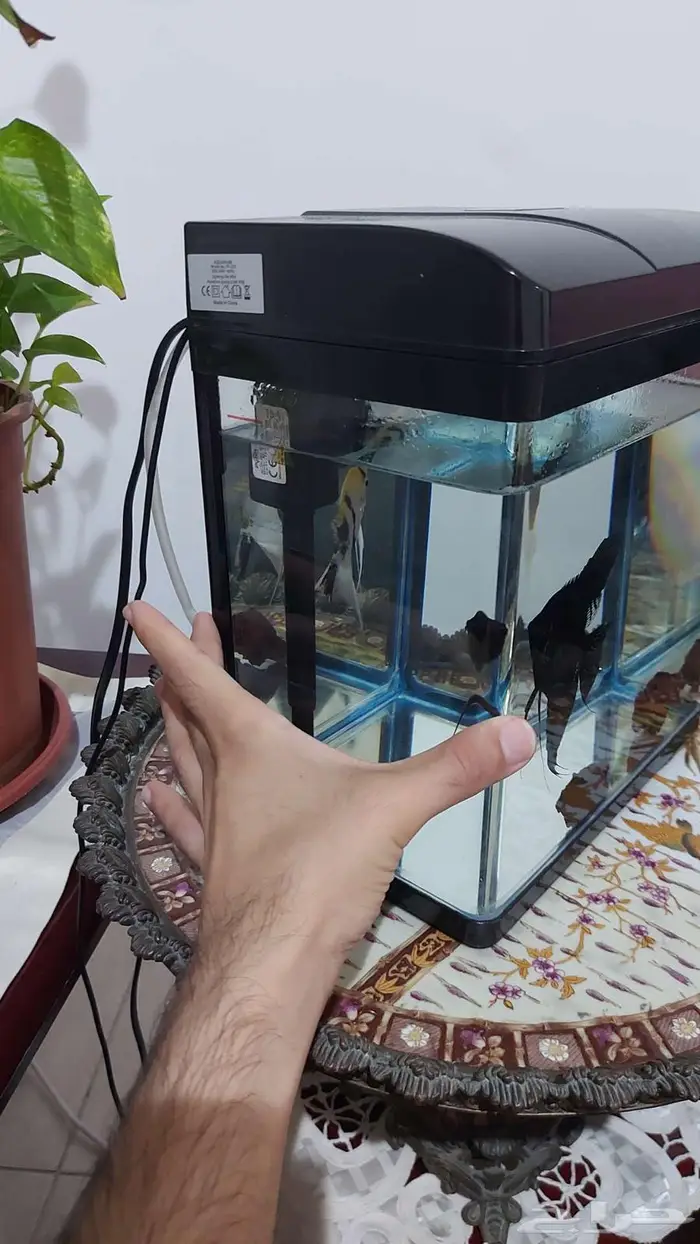 حوض سمك شبه جديد 0
