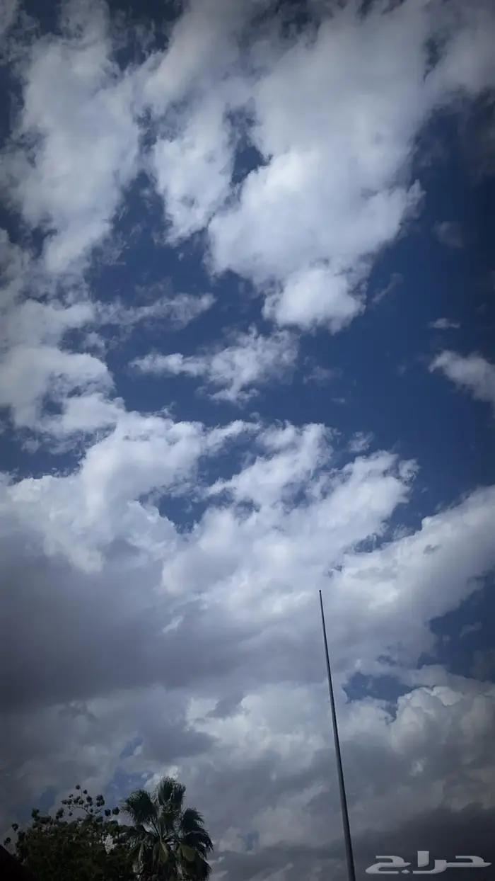 مطلوب شقه للايجار 0