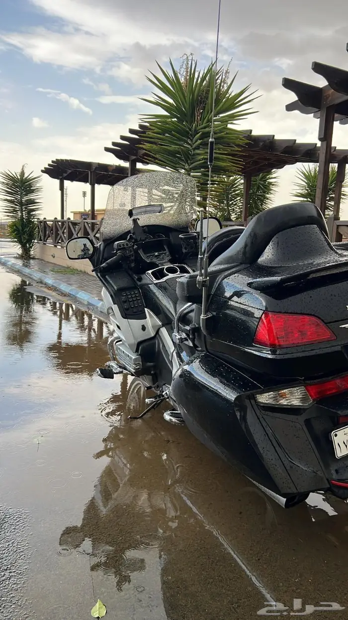 قولدوينق 2012 لفل3 5