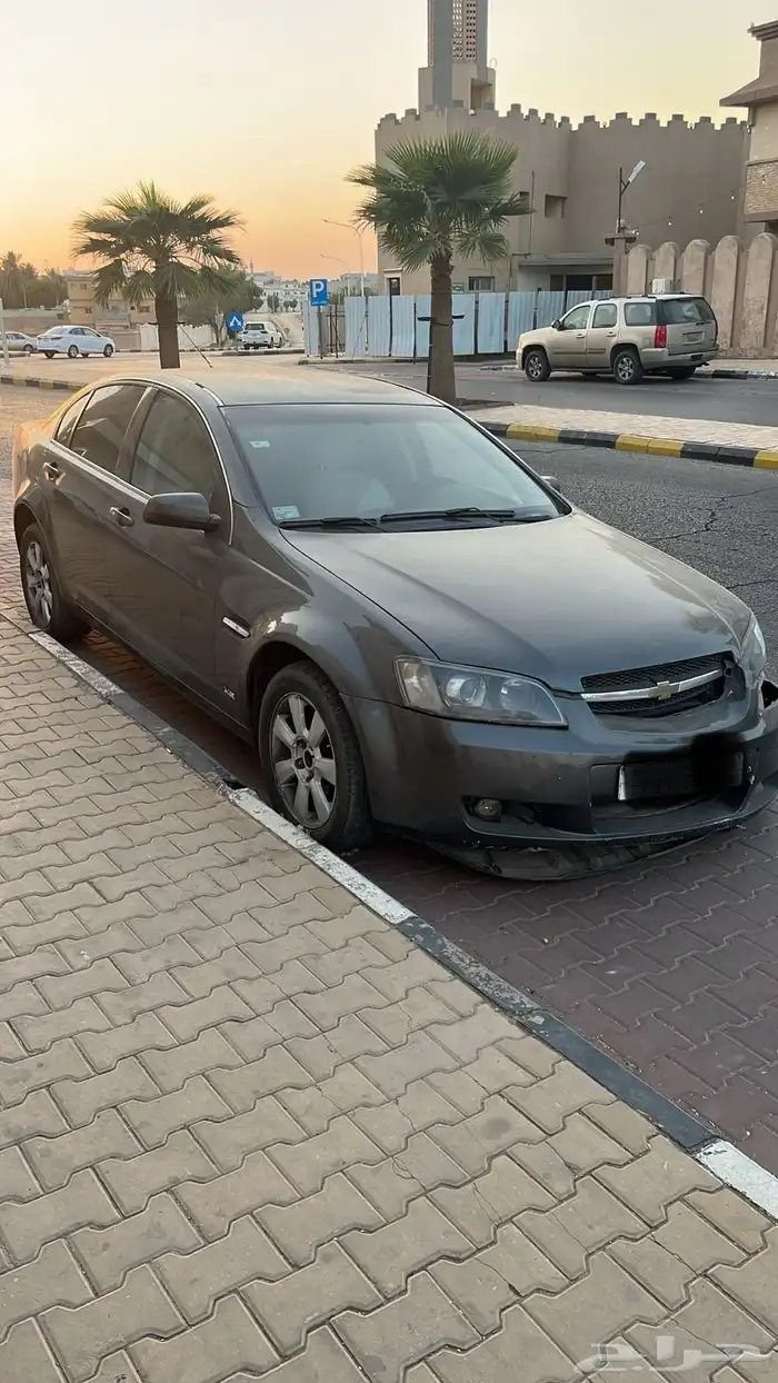لومينا 2010 1