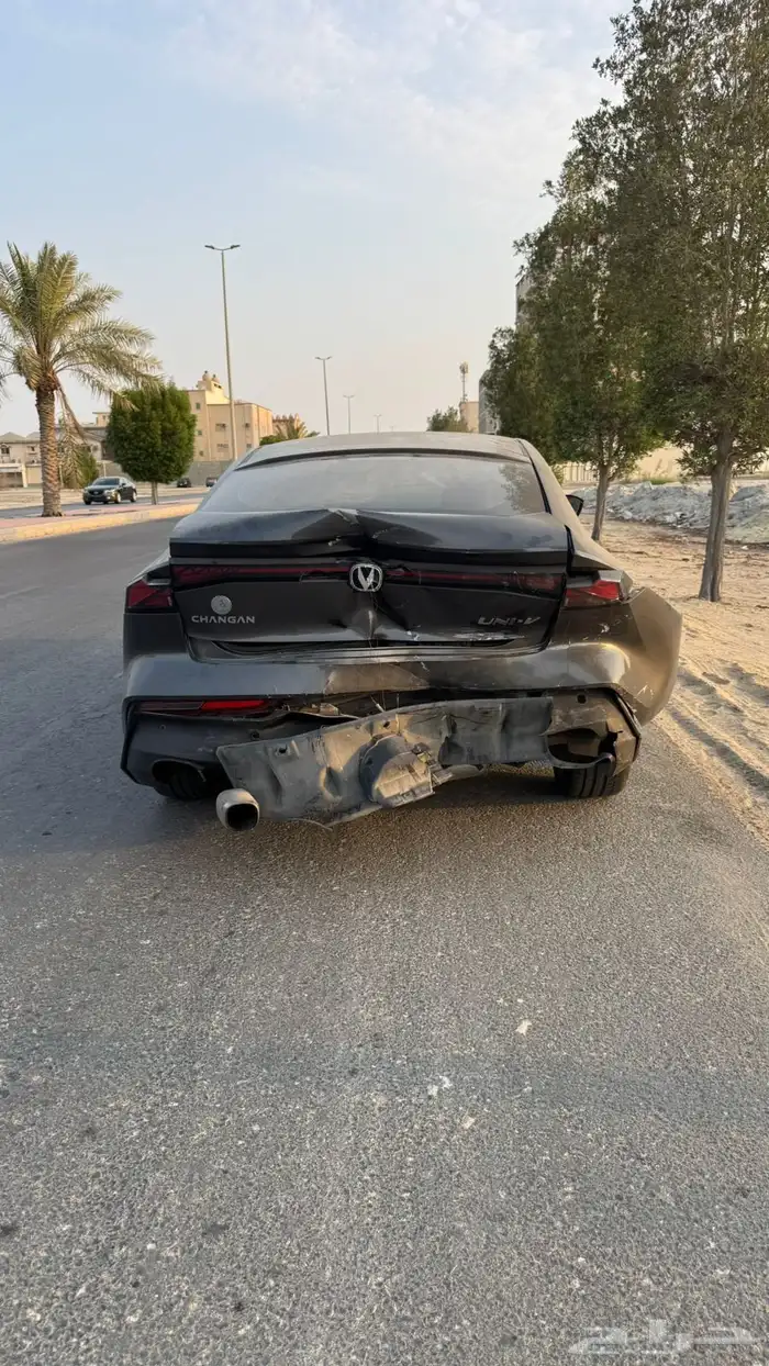 شانجان يوني في 2023 3
