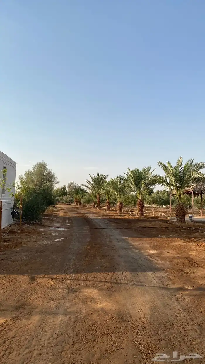 مزرعة للايجار بتبوك حي الريان 1