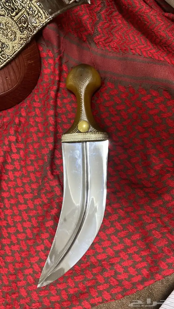 جنبيه حك زراف 1