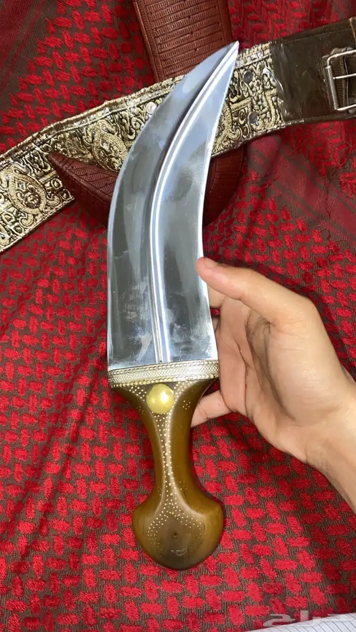 جنبيه حك زراف 2