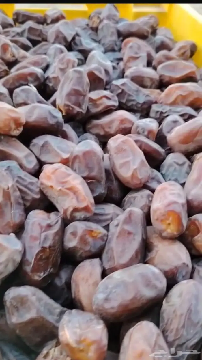 خضري الزلفي طيب ونضيف وحبه كبيره 1