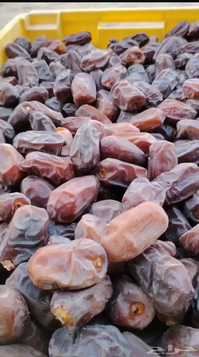خضري الزلفي طيب ونضيف وحبه كبيره 0