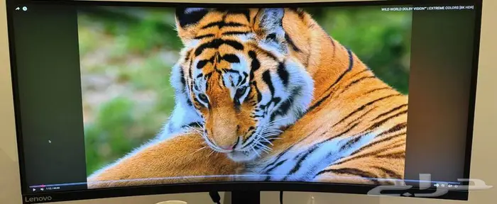 شاشة ألعاب Lenovo G34w-10 2