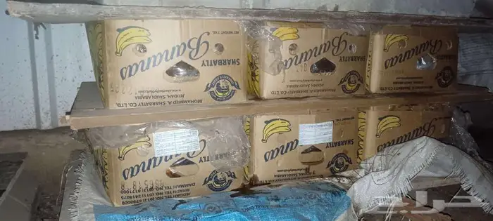 تمر خلاص الاحساء شغل يدوي ابو كيلو الكيس 15 ريال 5