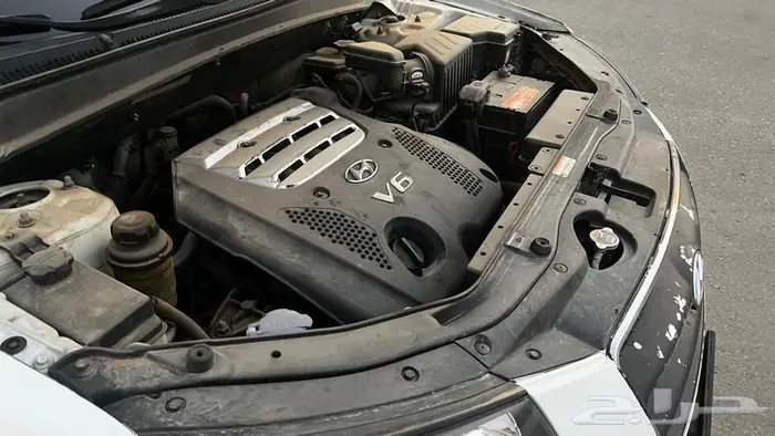 سنتافي 2009 12