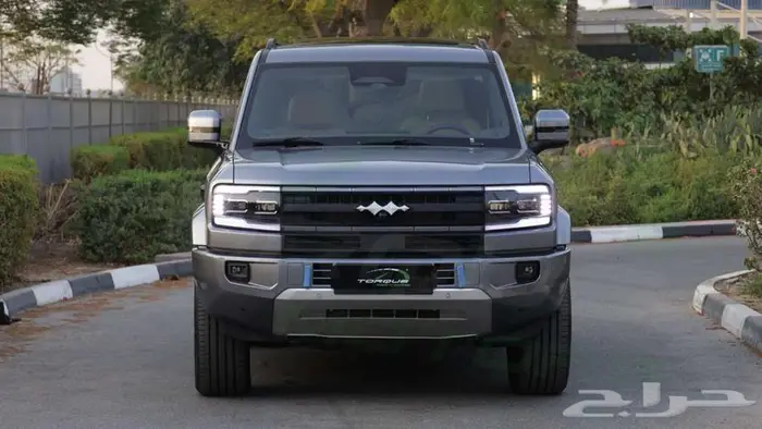 2025 بي وادي دي ليوبارد 5 اصفار م ضمان 2