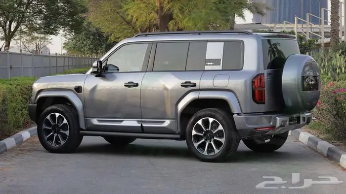 2025 بي وادي دي ليوبارد 5 اصفار م ضمان 4