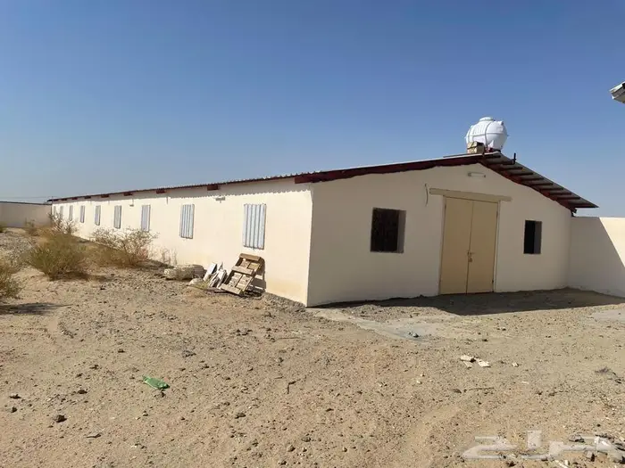 للإيجار   مزرعة دجاج بياض - بيشة 11