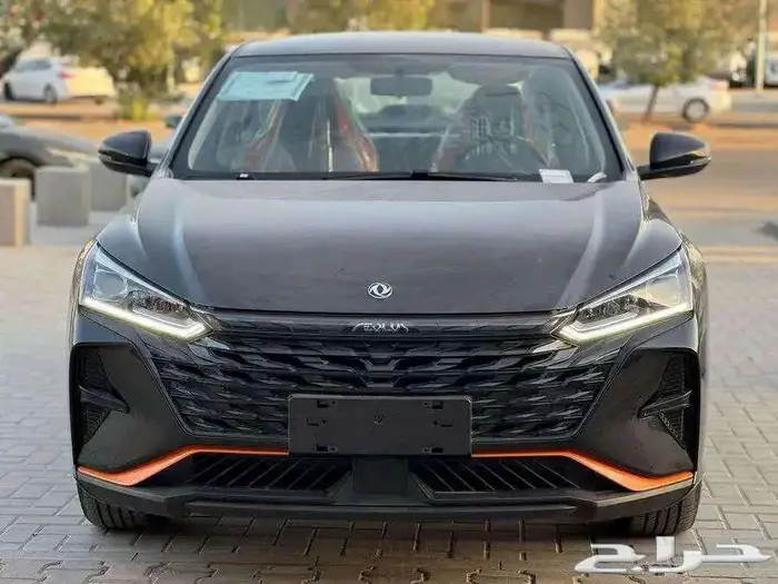 دونج فينج شاين 2025 0
