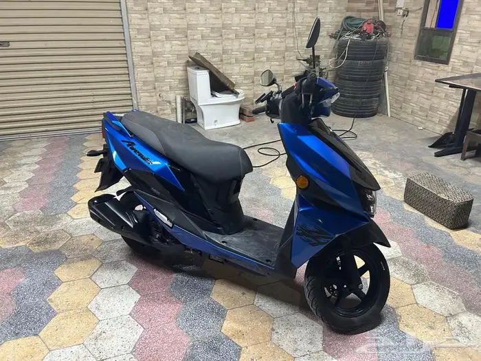 افينيس 2024 0