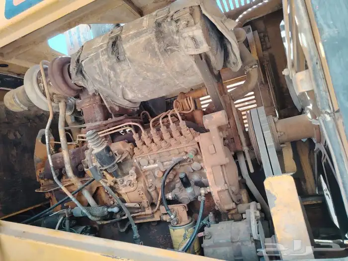 شيول شنتاو 2013 7