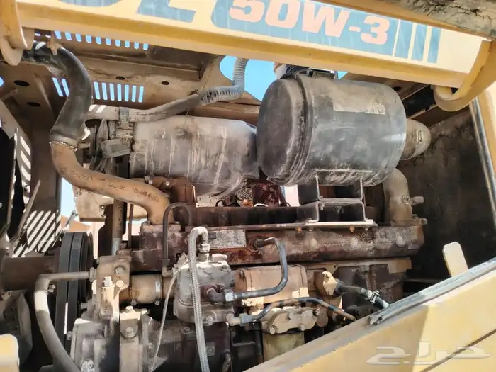 شيول شنتاو 2013 1