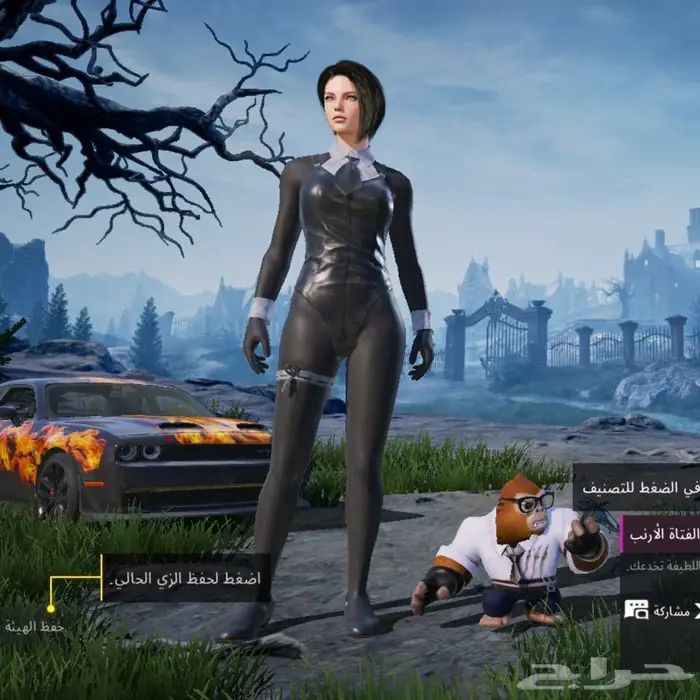 حساب ببجي للبيع 8