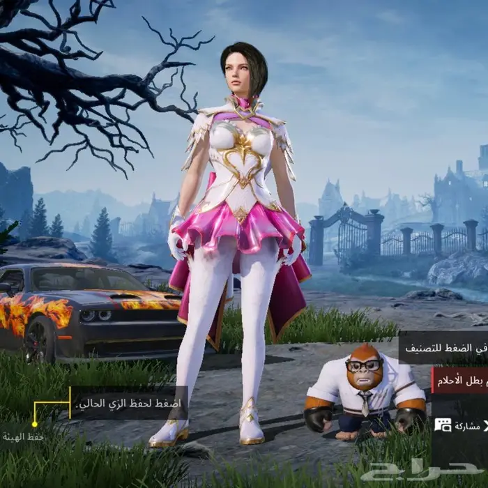 حساب ببجي للبيع 7