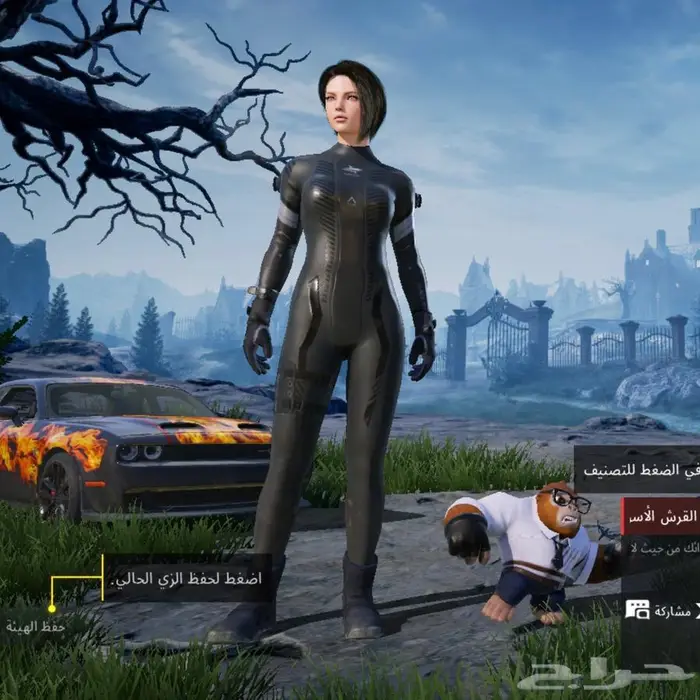 حساب ببجي للبيع 3