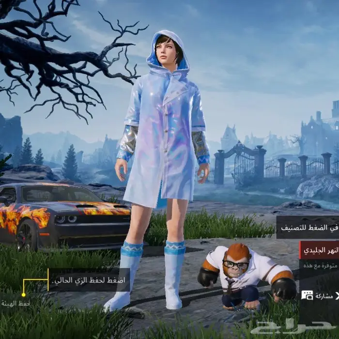 حساب ببجي للبيع 4