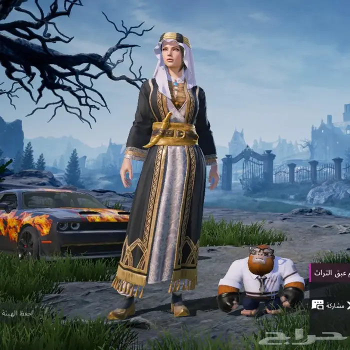 حساب ببجي للبيع 17