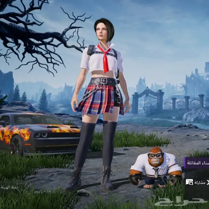 حساب ببجي للبيع 31