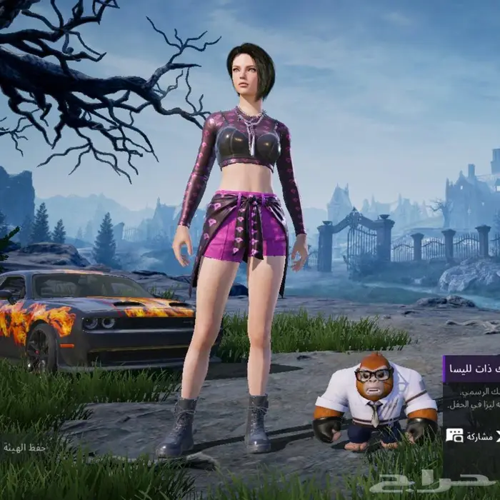 حساب ببجي للبيع 29
