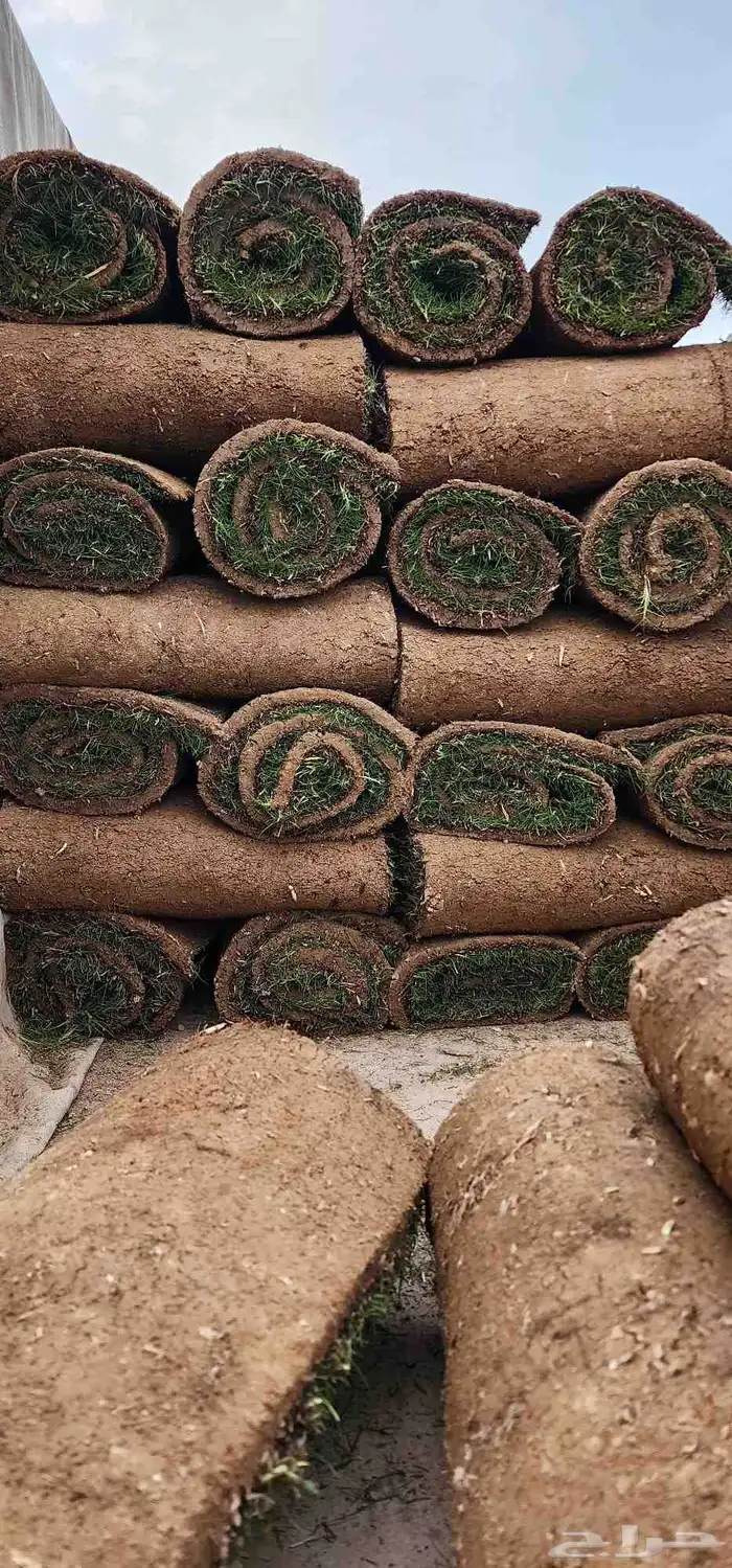 ثيل طبيعي انجيله 4